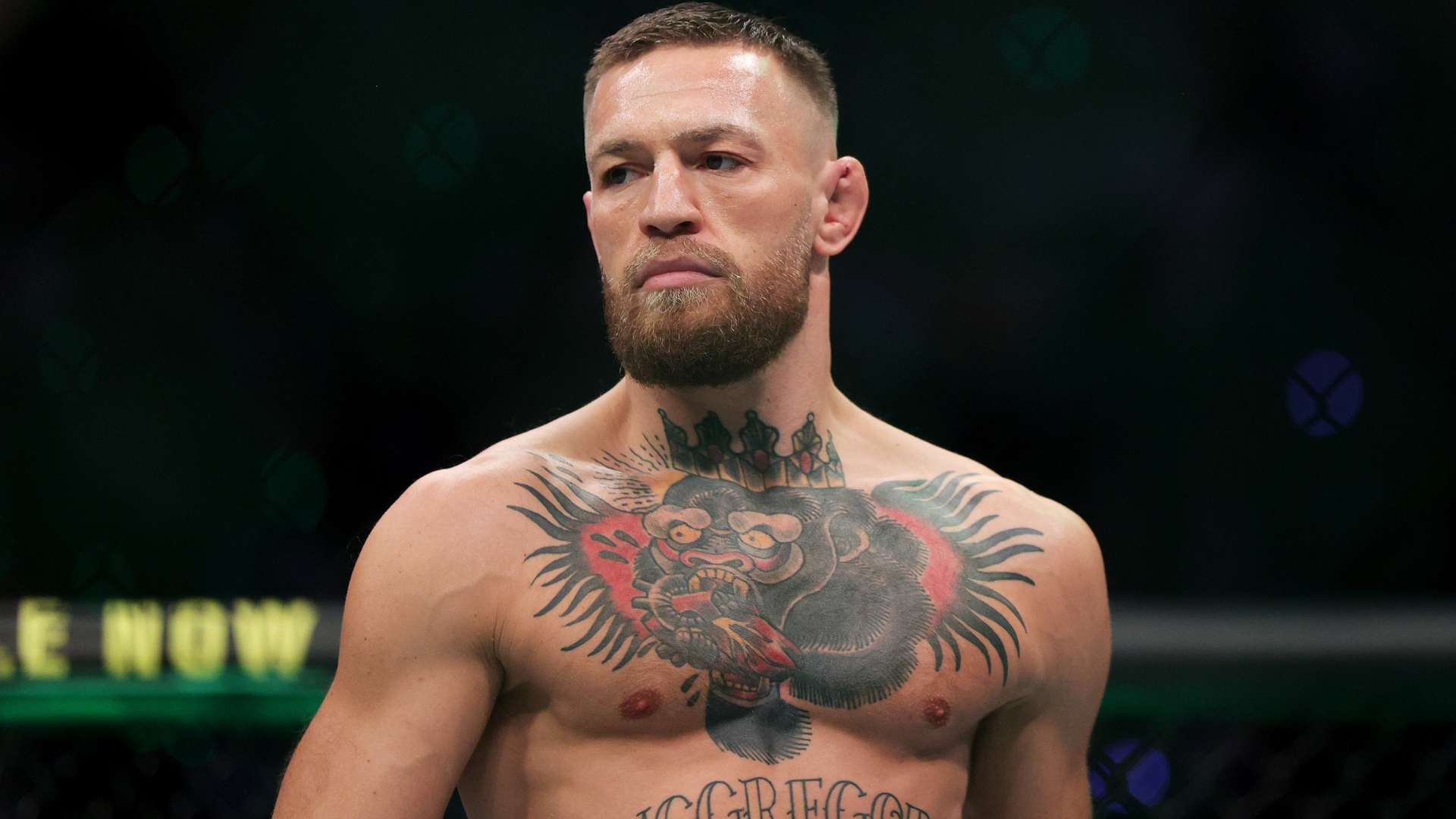 而是关注长 而是关注长